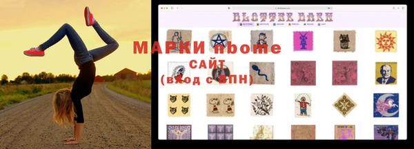сатива Дмитровск