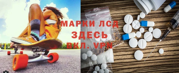 сатива Дмитровск