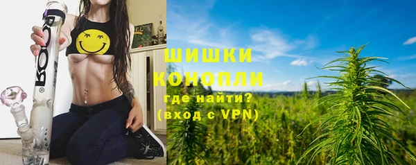 сатива Дмитровск