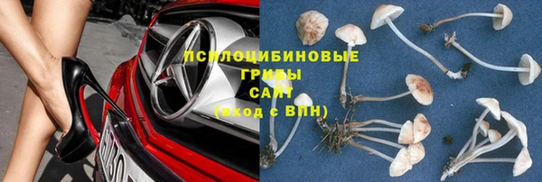 сатива Дмитровск